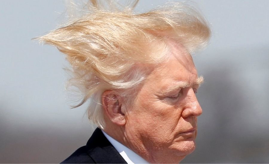 trump hair